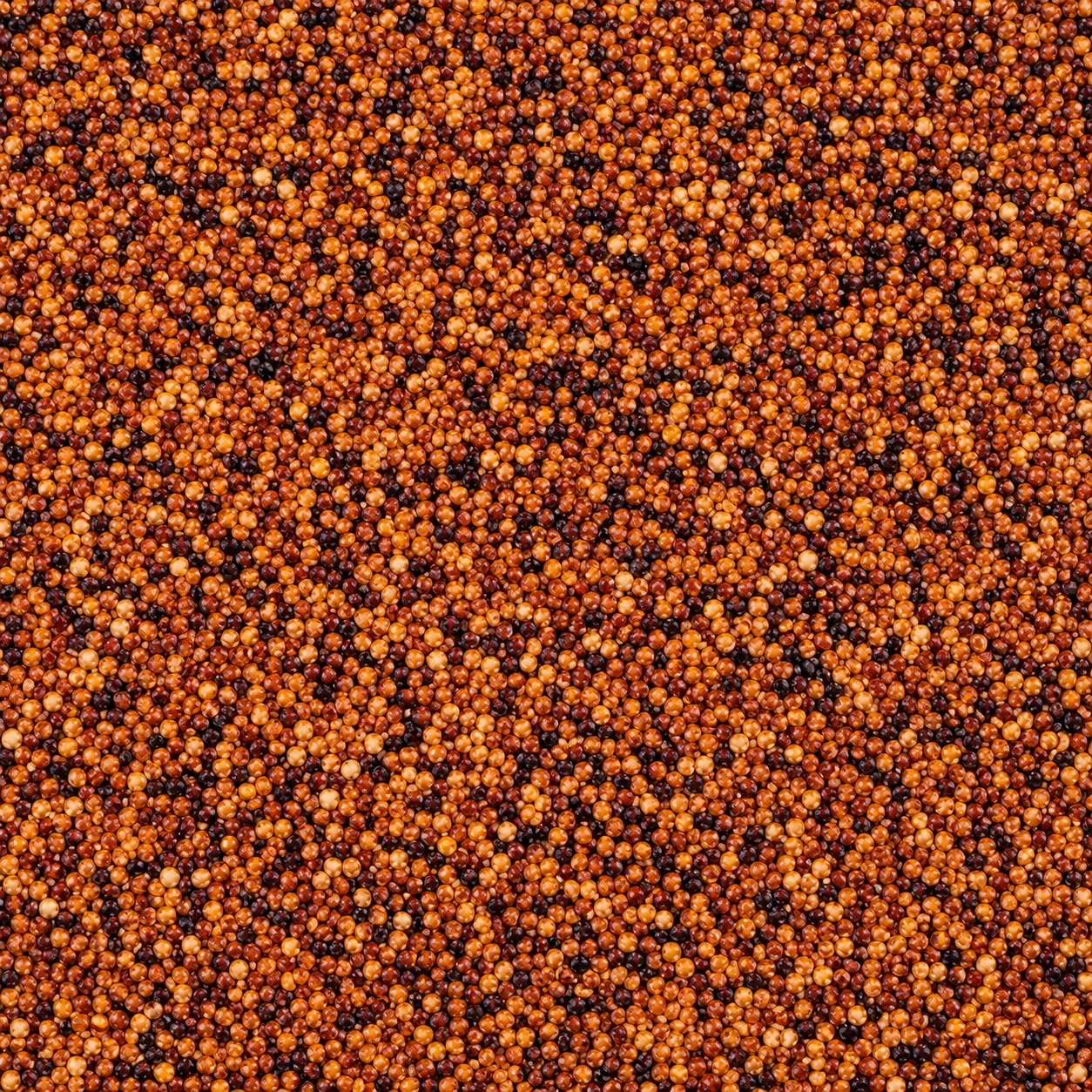 Cañihua — ingredient detail