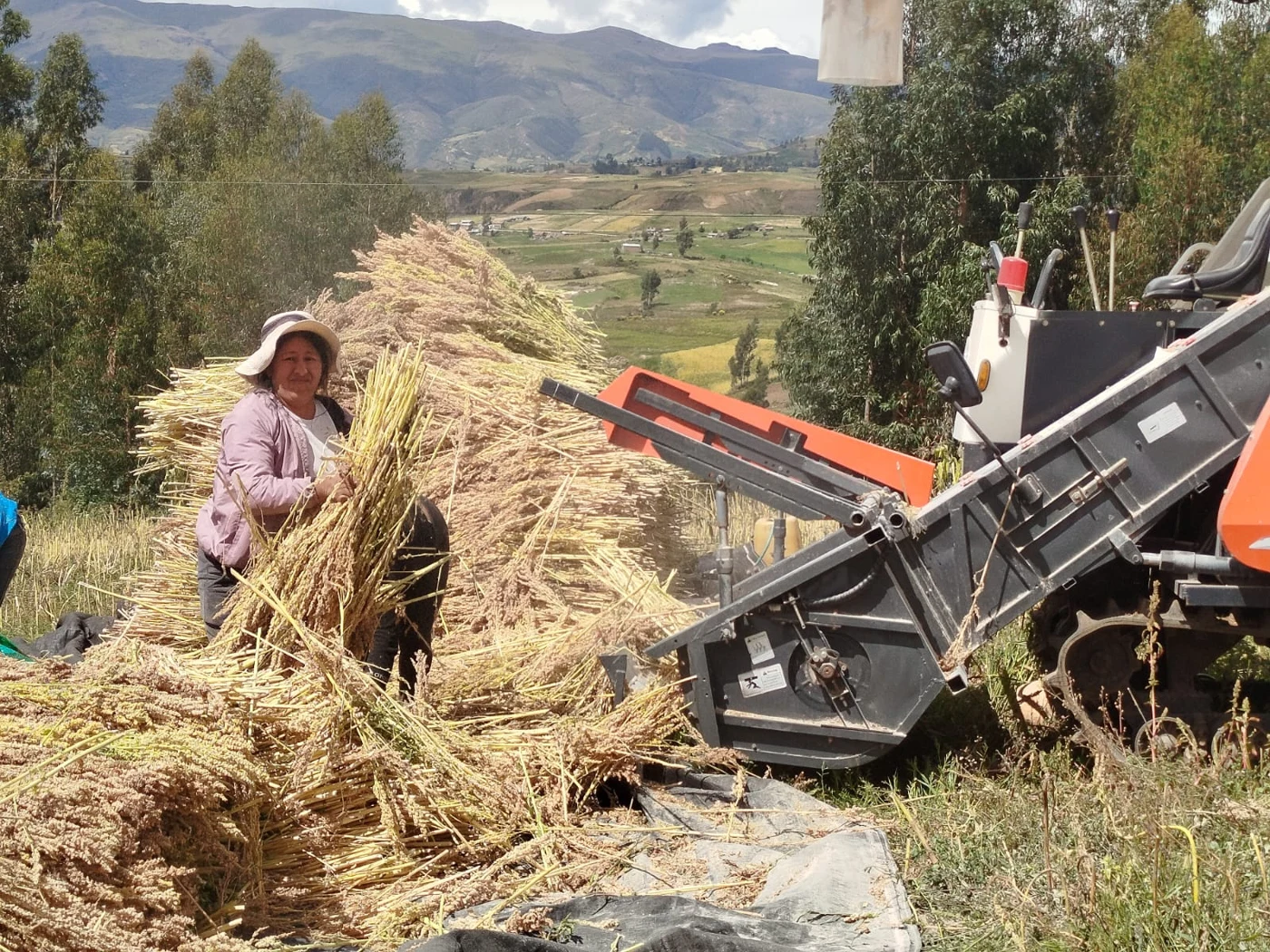 Agricultural harvesting with local machinery